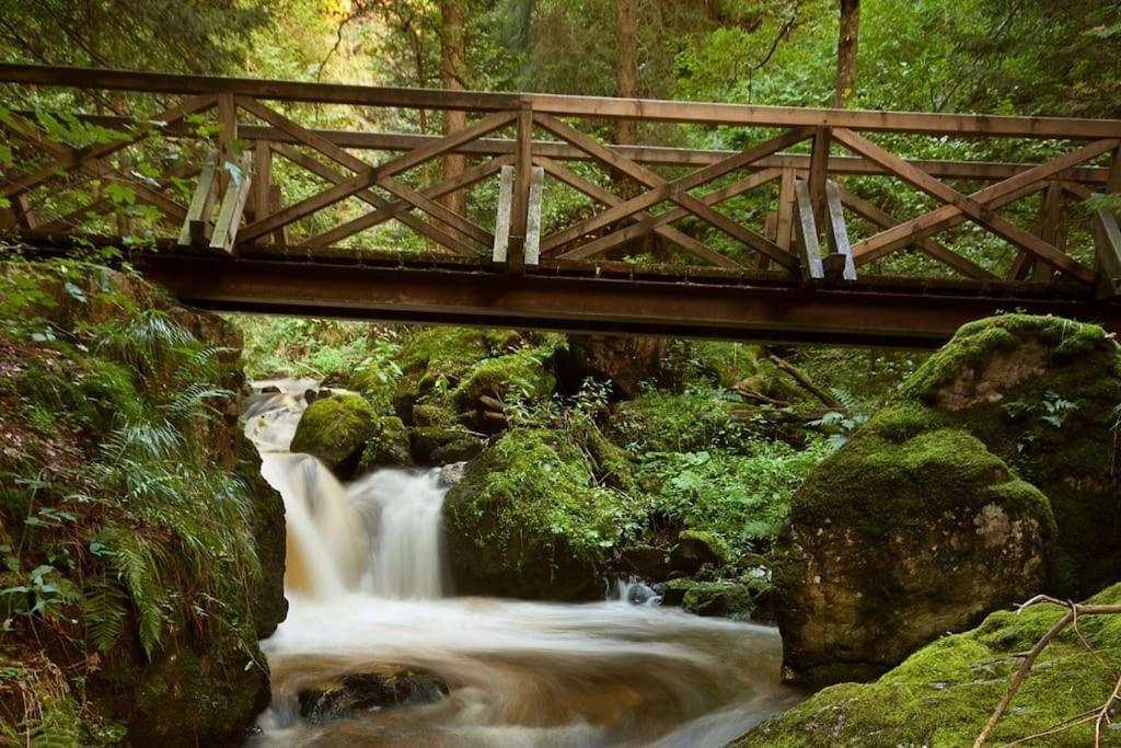 Apartmán Sieben Tannen Titisee + Hochschwarzwald Card Exteriér fotografie