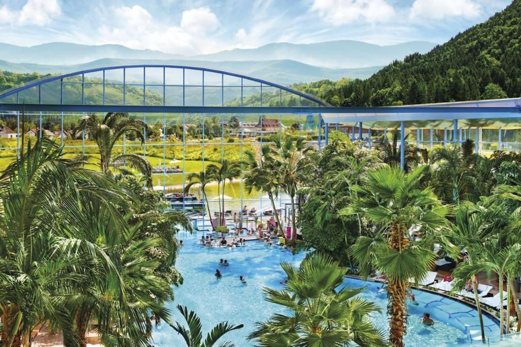Apartmán Sieben Tannen Titisee + Hochschwarzwald Card Exteriér fotografie
