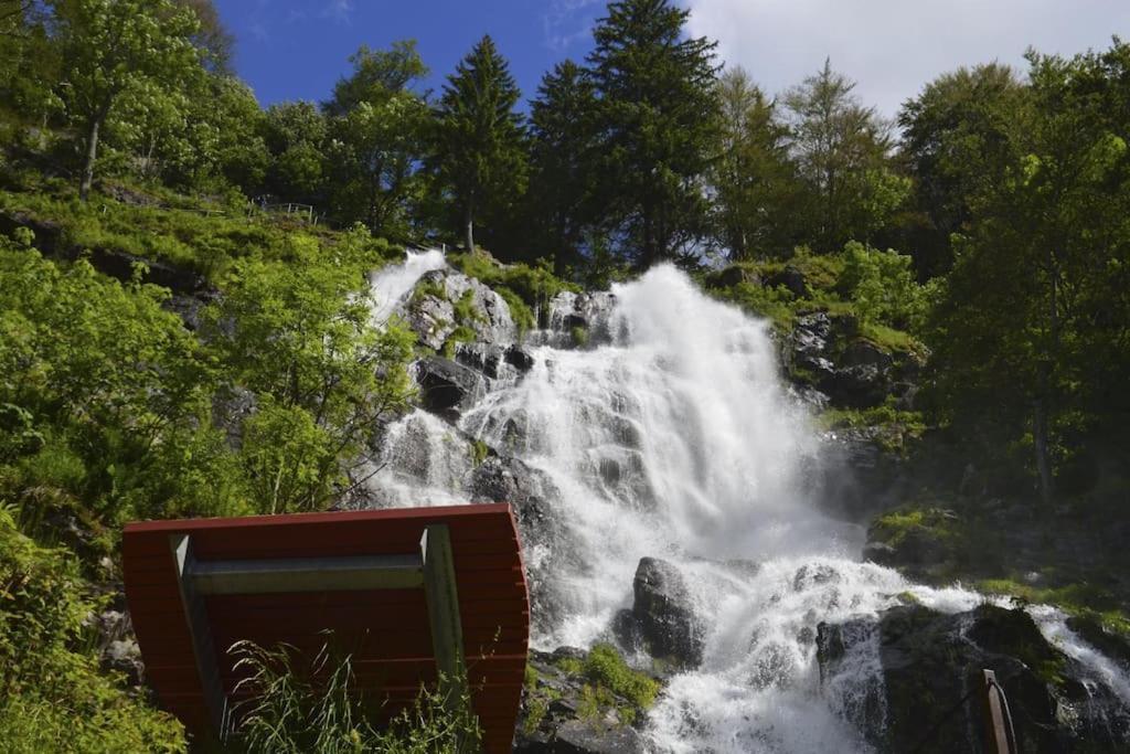Apartmán Sieben Tannen Titisee + Hochschwarzwald Card Exteriér fotografie