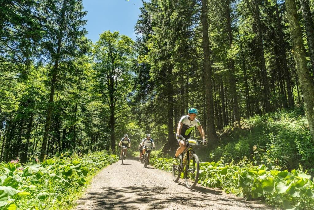 Apartmán Sieben Tannen Titisee + Hochschwarzwald Card Exteriér fotografie