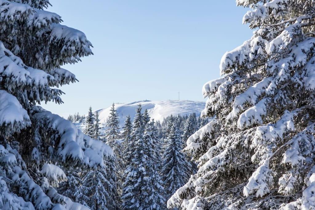 Apartmán Sieben Tannen Titisee + Hochschwarzwald Card Exteriér fotografie