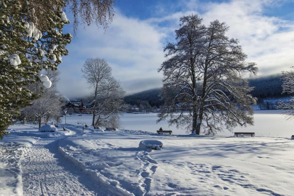 Apartmán Sieben Tannen Titisee + Hochschwarzwald Card Exteriér fotografie
